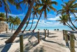 Key West Florida as seen from Danger Charters down a sandy path towards a beach surrounded by palm trees