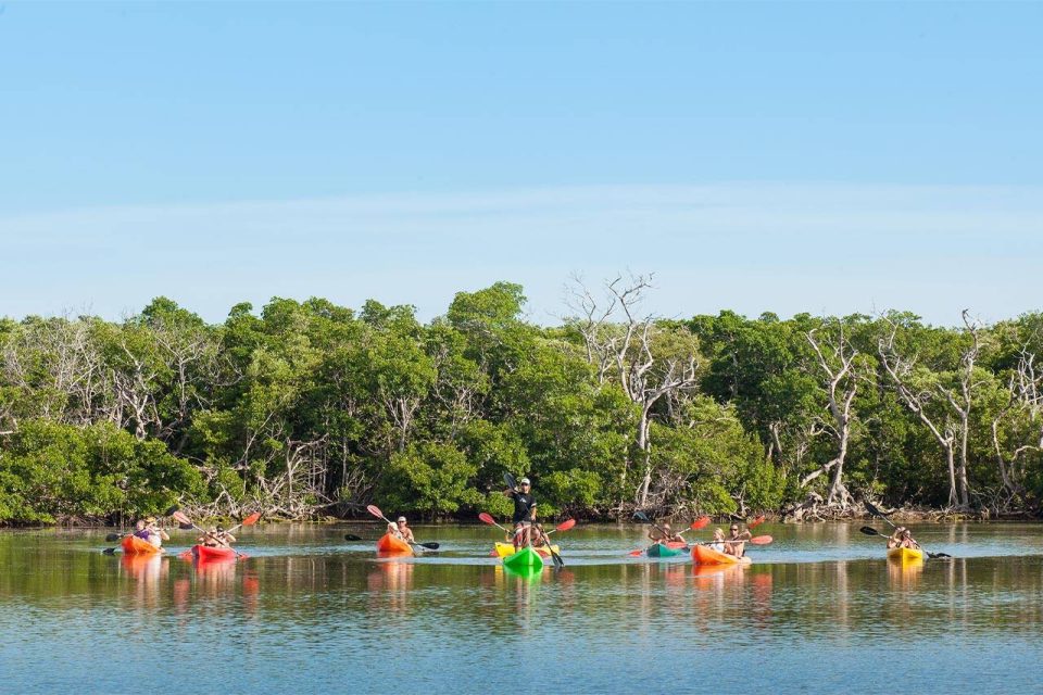 A Danger Charters guide leads an eco kayaking tour in Key West near mangroves