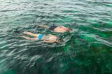 Two women snorkeling in Key West